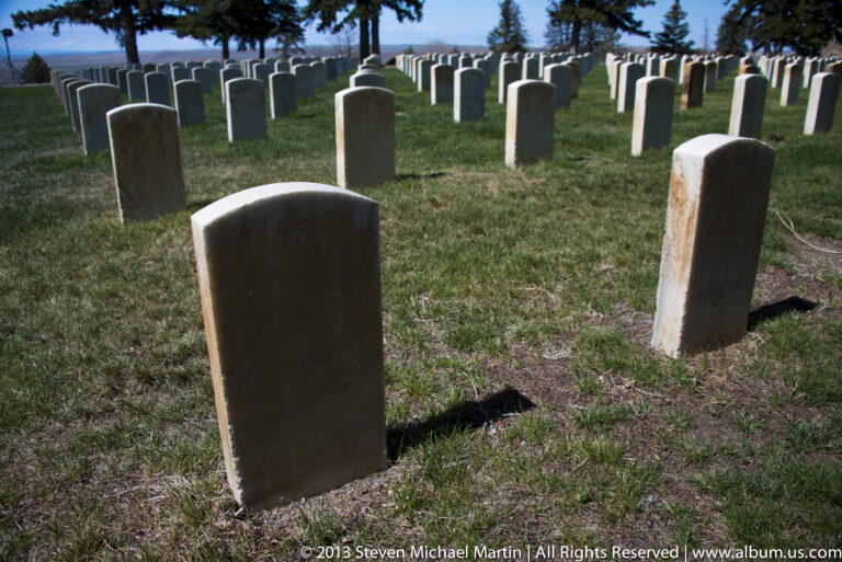 Rows of stone headstones stand across a grassy cemetery beneath scattered trees.