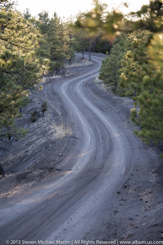 A pale gravel road curves through a shaded corridor of trees and brush.