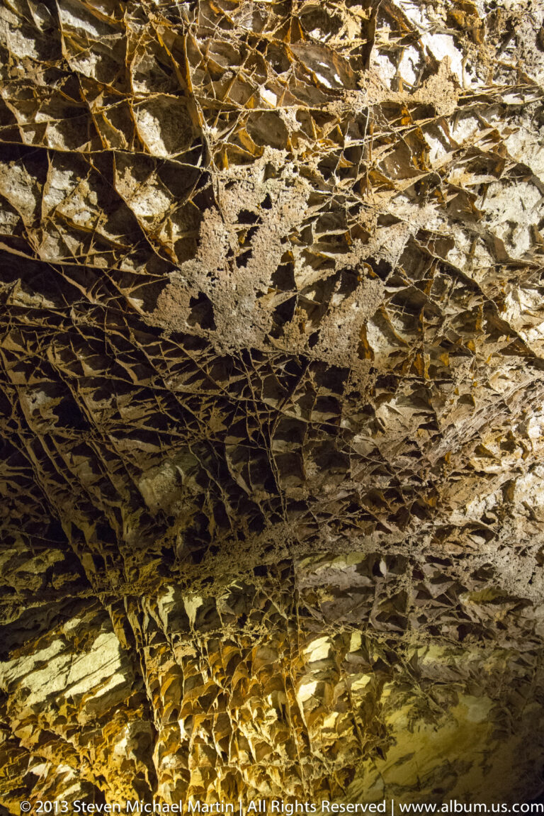 A close upward view shows a dense honeycomb network of thin mineral fins across a cave ceiling.