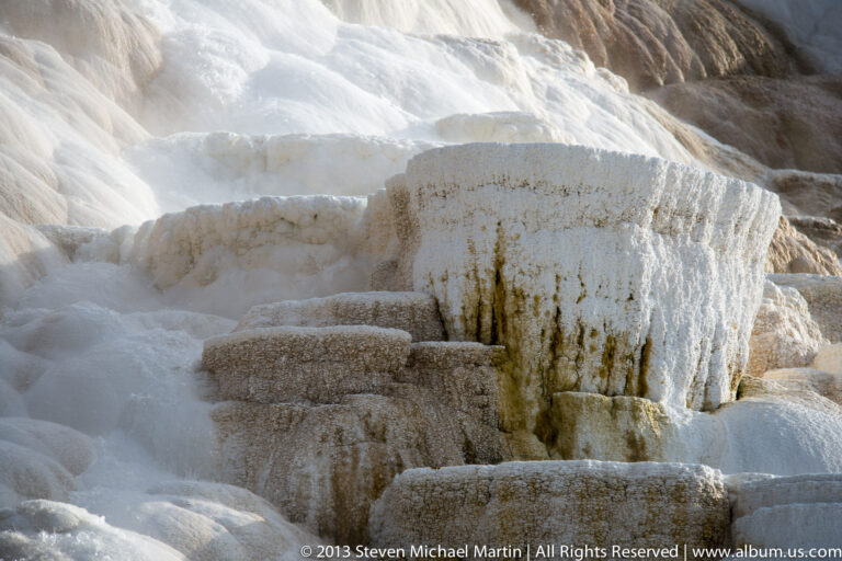 Rounded pale travertine ledges and shallow basins fill a close view of a thermal slope.