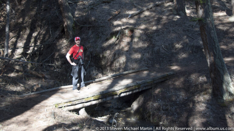 A visitor stands on a wooden boardwalk amid fallen logs and tall trees in a shaded forest.