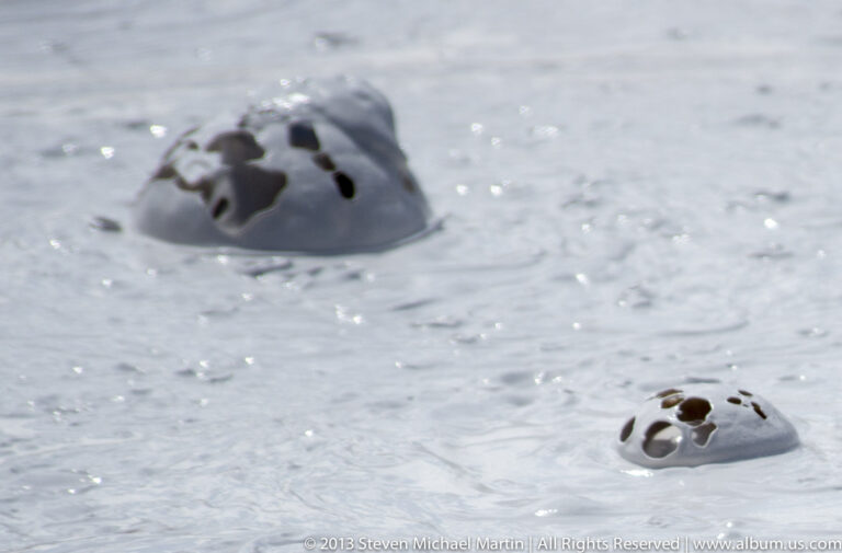 Two rounded mineral vents with dark openings rise from pale bubbling water.
