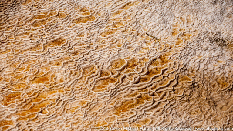 Cream and orange mineral ridges form tightly layered bands across a travertine surface.