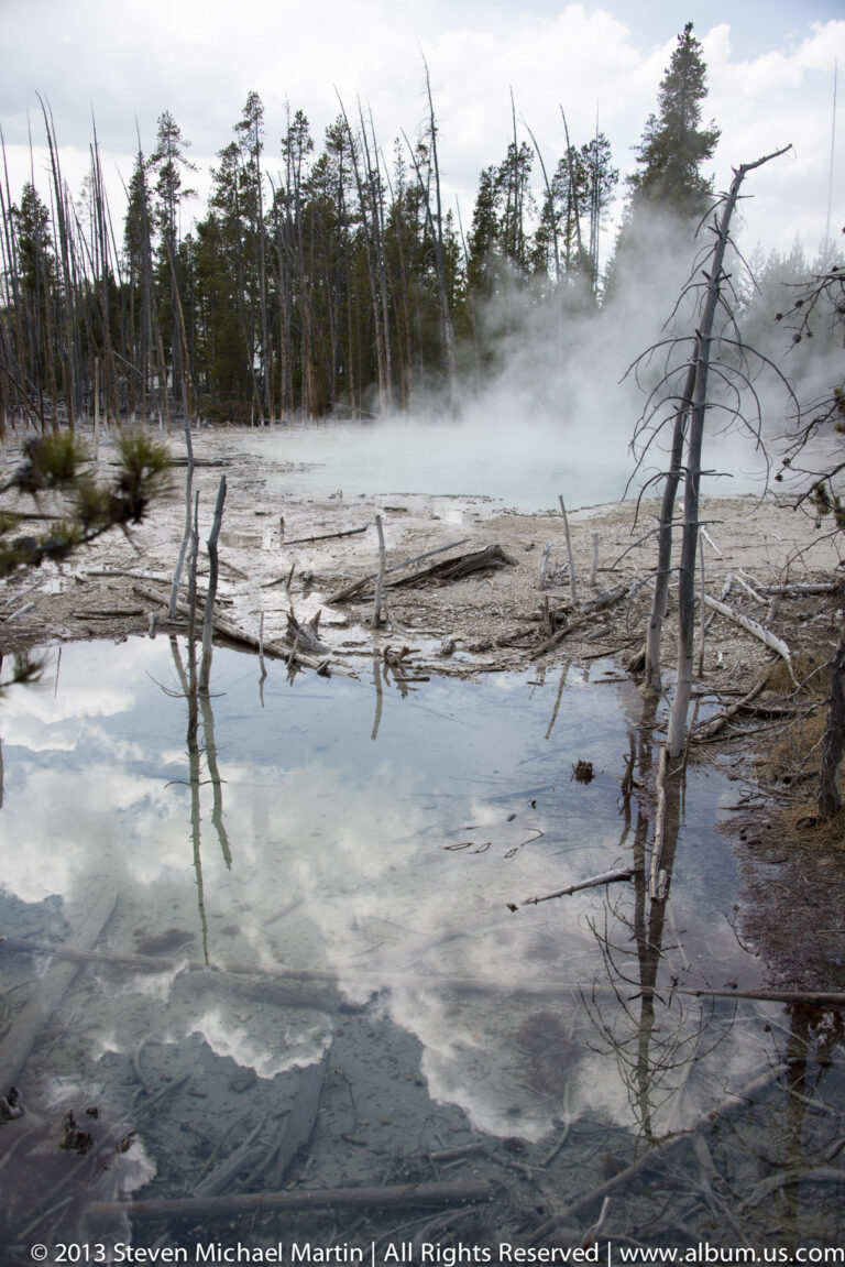 Steam crosses a shallow pool among fallen logs and bare trunks, with conifers beyond.
