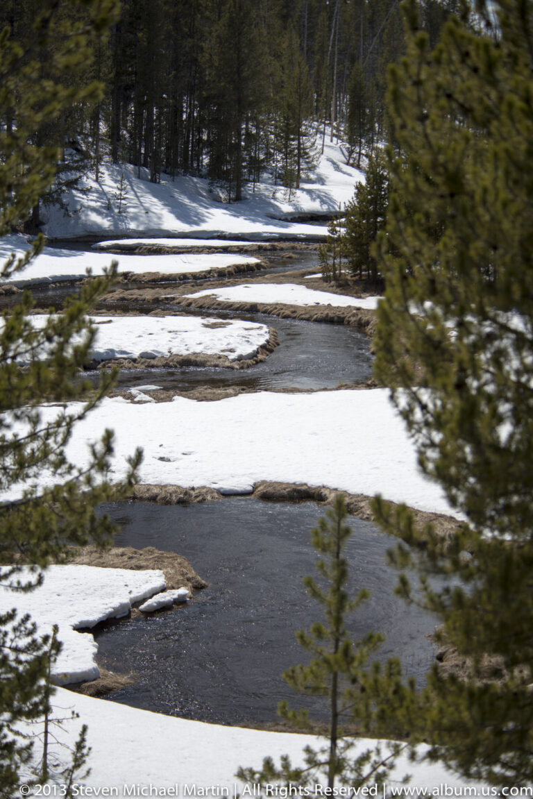 A dark stream curves through snowy banks beneath tall evergreen trees in a winter woodland.