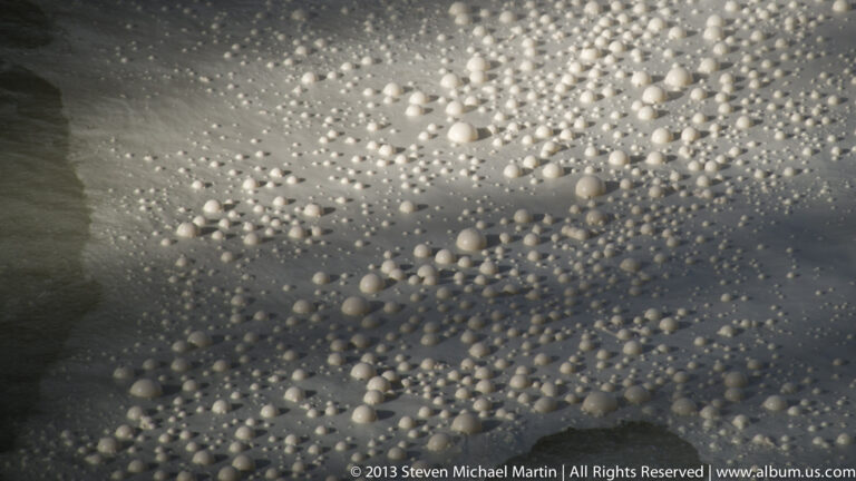 Small rounded mineral domes cover a wet surface, with larger bubbles scattered among finer ones.