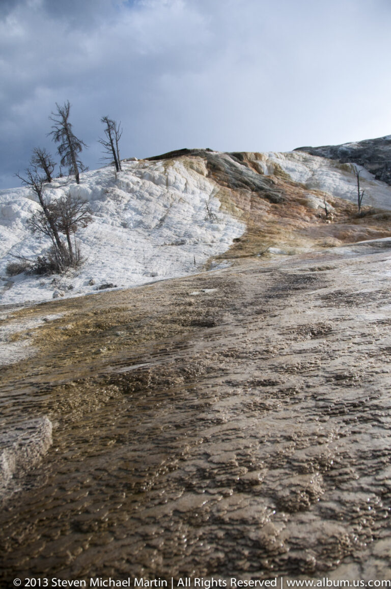 A wide pale mineral terrace with shallow water channels and sparse leafless trees along a low ridge.