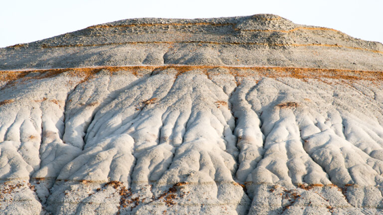 A pale eroded ridge with branching grooves and thin rust-colored bands fills the frame.