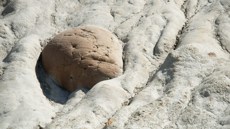 A cracked brown concretion sits in a shallow hollow among pale claystone ridges.