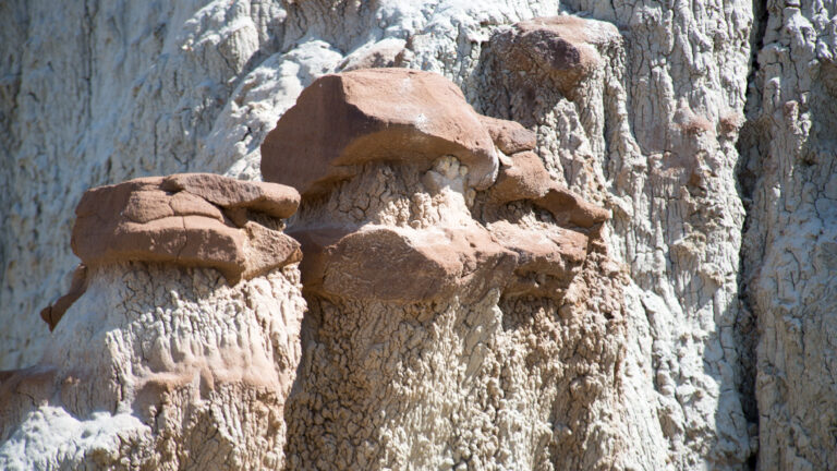 A cluster of rust-brown rock concretions protrudes from a pale, deeply eroded claystone wall.