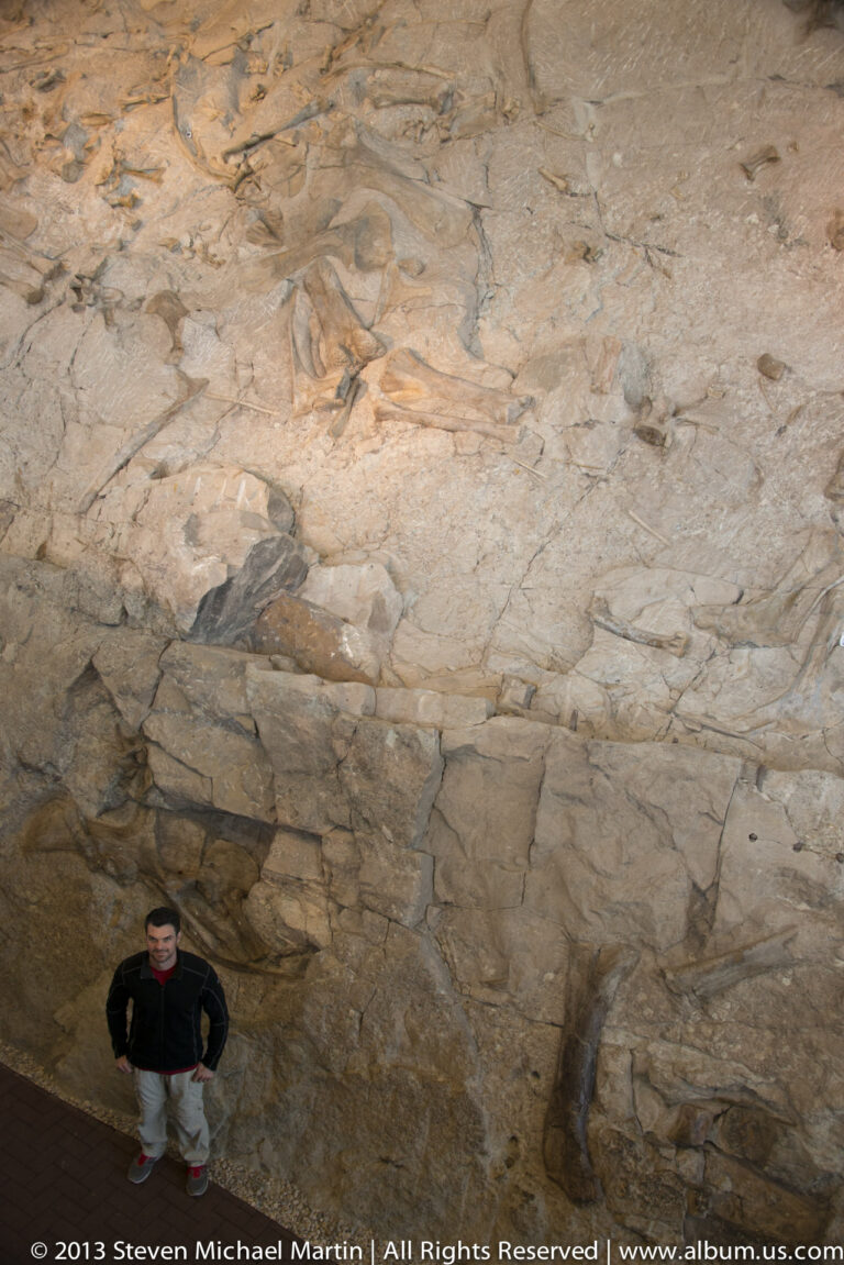 Visitor stands at the base of a towering curved rock wall, providing scale beneath its layered surface.