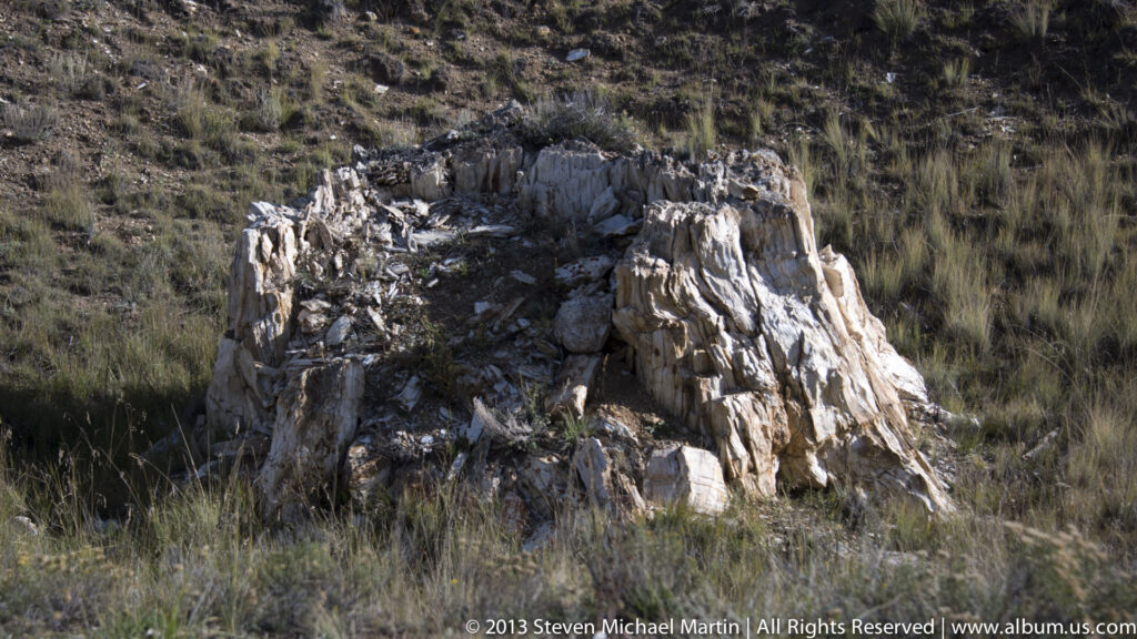 A pale petrified tree stump with a broken hollow center stands among grass and low brush.