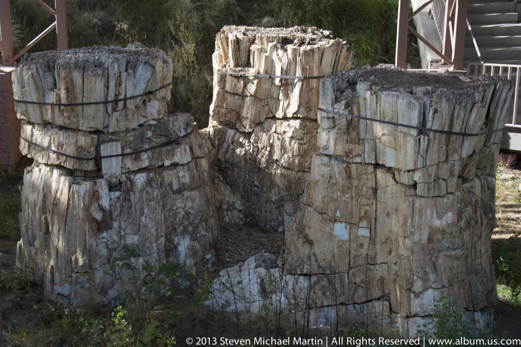 Several cracked petrified tree stumps stand together, with dark metal bands around their pale surfaces.