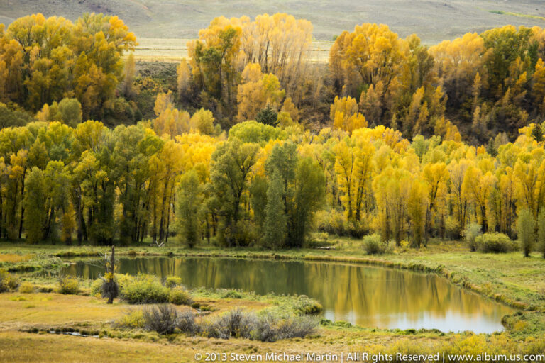 A curved pond reflects a dense aspen grove of yellow and green trees along its far bank.