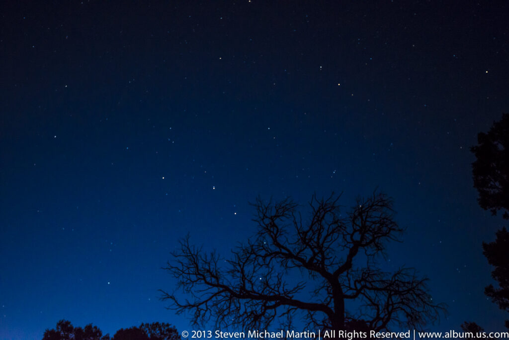 Sparse stars appear above a bare tree silhouette and low treeline beneath a deep blue night sky.
