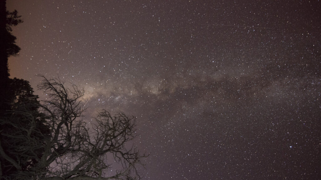 Milky Way stretches across a dense star field above silhouetted trees and bare branches.