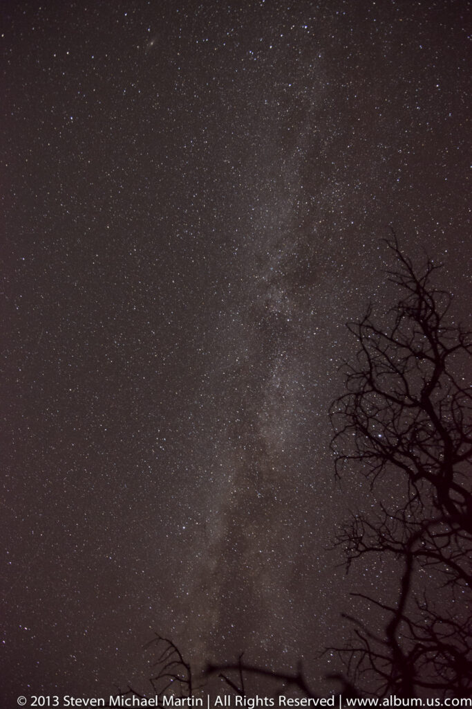 Milky Way rises through a dense star field beside a bare tree silhouetted at right.