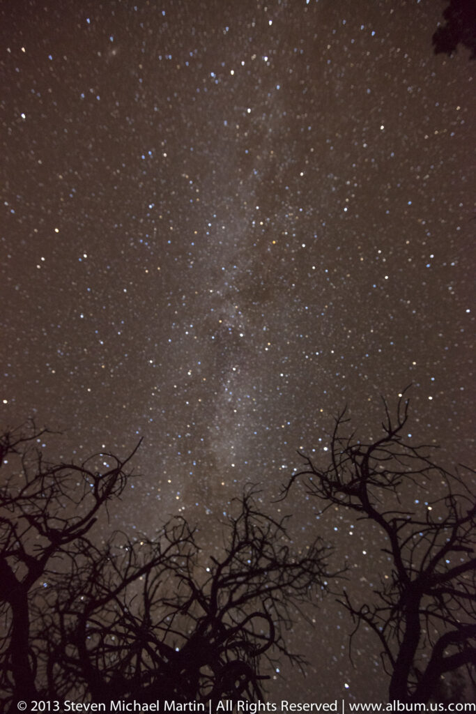 Dense stars and a faint Milky Way appear above interlacing bare branches along the lower edge.
