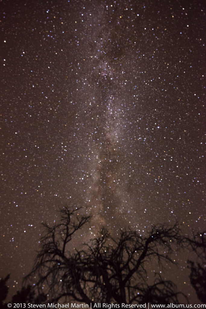 Milky Way brightens the starry sky above a low treeline and foreground bare branches.