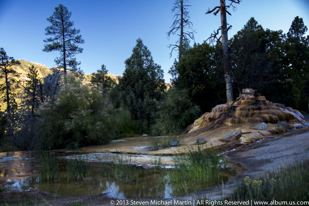 Stepped tan and rust mineral terraces rise beside a shallow pool edged with grasses and backed by conifers.