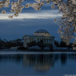 Jefferson NMEM – Cherry Blossoms