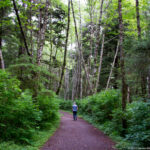 Sitka NHP