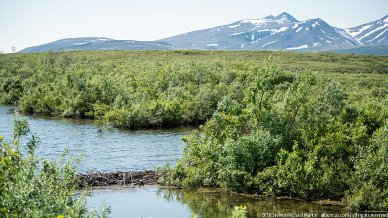 A branch pile sits at the edge of a pond beneath distant mountains.