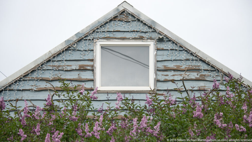 Pink fireweed grows in front of a peeling blue-gray gable with one centered window.