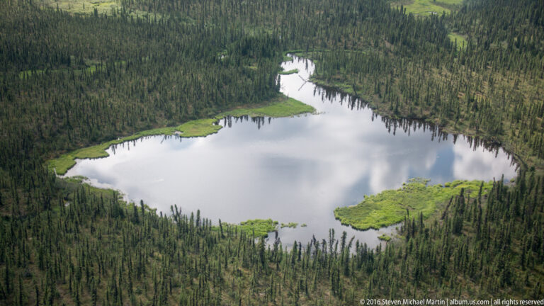 An irregular pond reflects clouds within dense conifer forest, with bright green marshy patches along its shoreline.