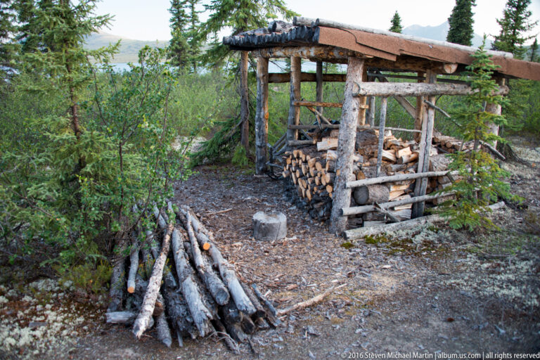 Stacks of firewood beneath a rough log shelter in a spruce forest clearing.