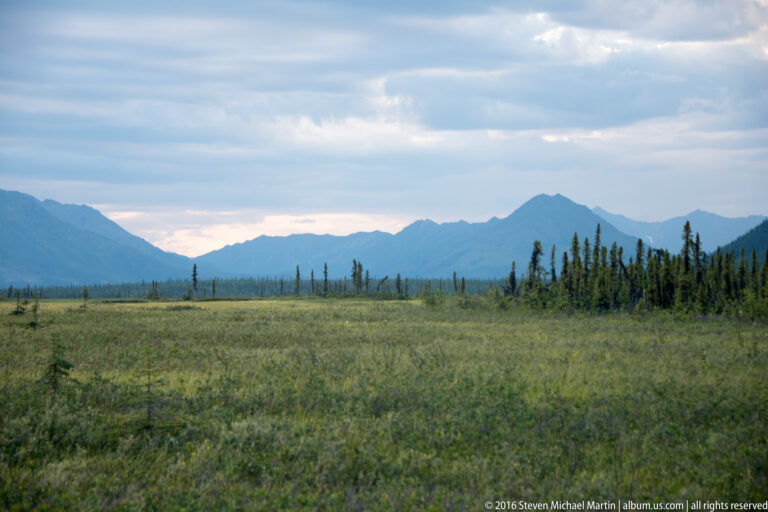Open grassy plain with scattered spruce and distant mountain ridges beneath a cloudy sky.