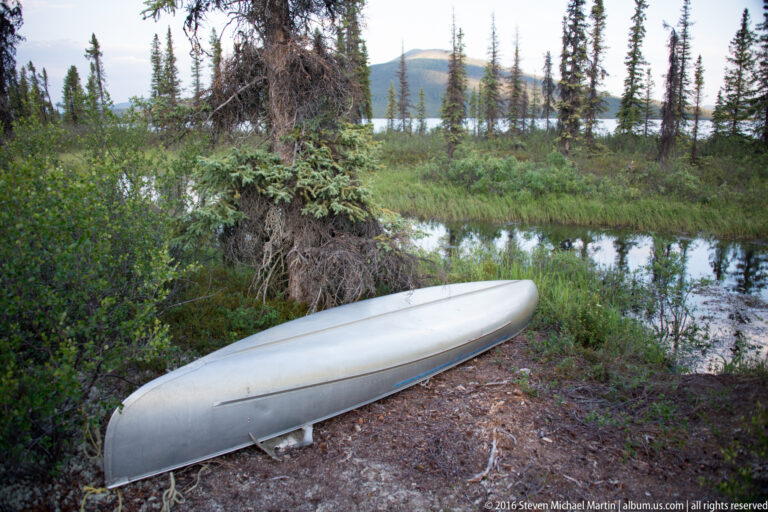An overturned pale canoe rests among shrubs beside a forested lake edge.