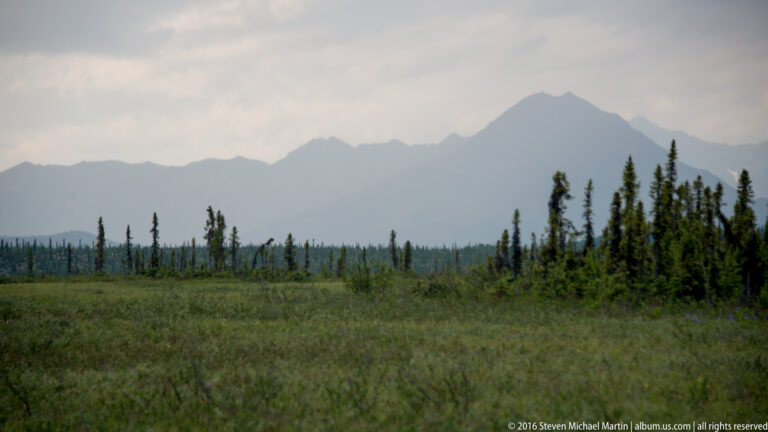Hazy mountain peaks rise beyond a dark spruce line and open tundra beneath a pale sky.