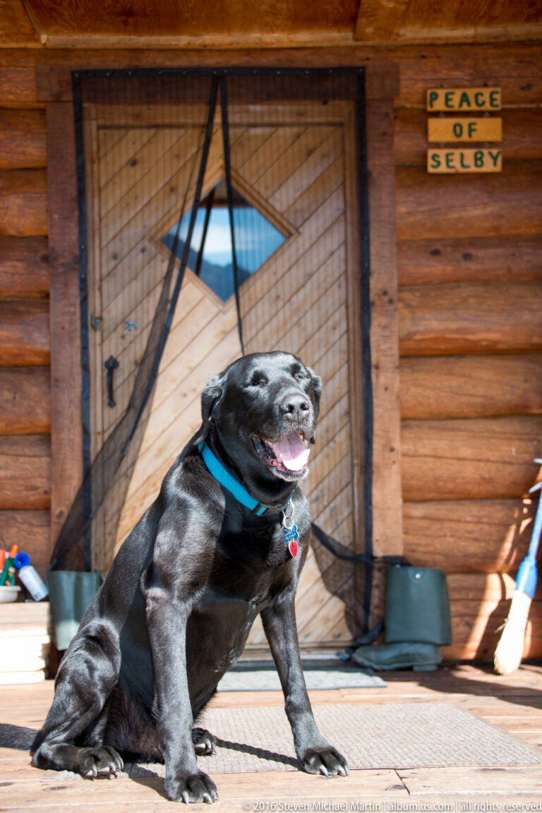A black dog sits on a log cabin porch beneath a small “Peace of Selby” sign on the door.