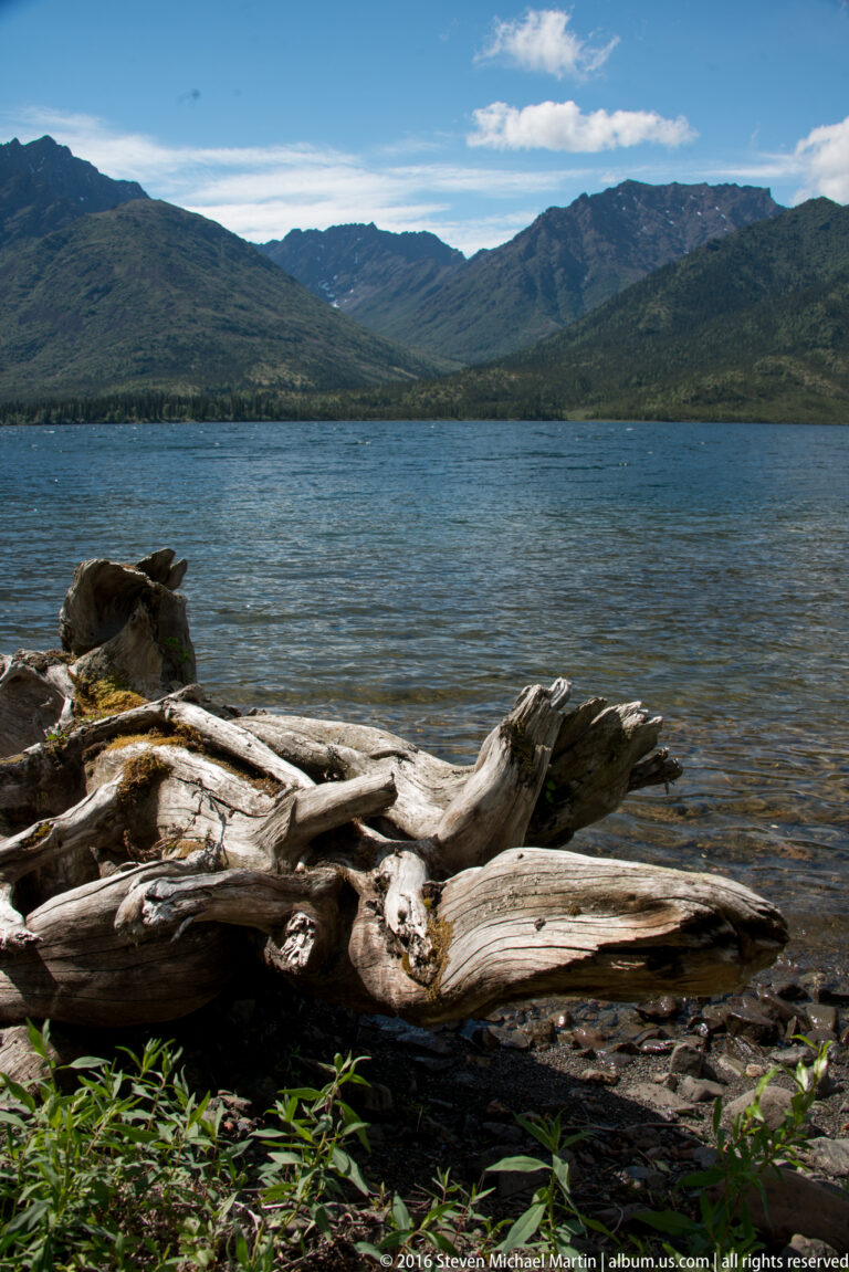 A pale driftwood trunk lies on a rocky shore with a lake and mountain range behind it.