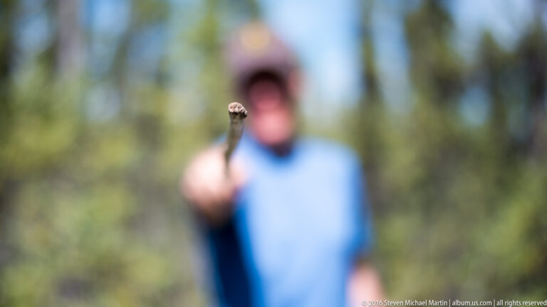A sharply focused branch points toward the camera while a man in a blue shirt stands blurred among trees.