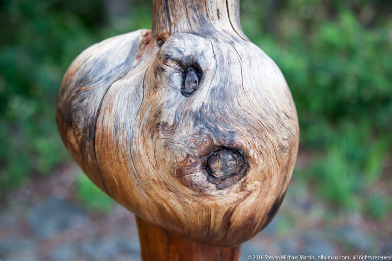 Close-up of a pale rounded wooden post with swirling grain and two dark knots.