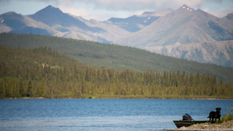 Black dog stands on a rocky shore beside a lake with forested mountains beyond.
