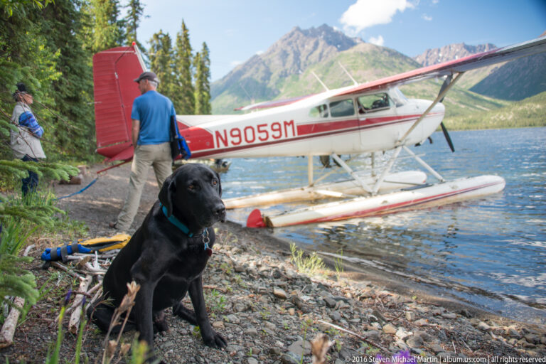 A black dog sits on a rocky lakeshore in front of a red-and-white floatplane and two people.