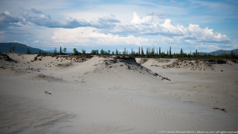 Pale rippled sand dunes extend toward a spruce line and distant mountains beneath clouds.