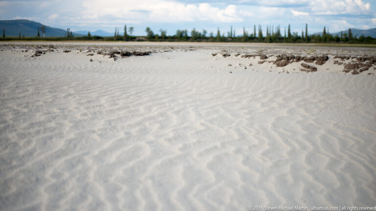 Fine wind ripples cover pale sand below a distant line of spruce and shrubs.