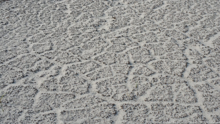 Fine intersecting lines and shallow impressions mark a close view of pale sand.