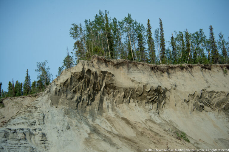 Vertical grooves and angular blocks mark a pale bank beneath trees and exposed roots.