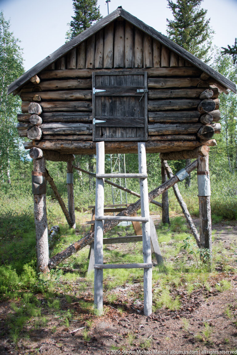 Raised log cache with a ladder leading to its elevated opening in a forest clearing.