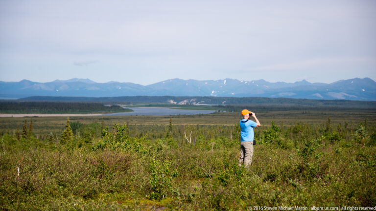 Man shades his eyes while looking across tundra toward a river and mountains.
