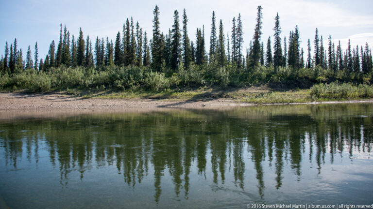Slender spruce trees line a low sandy bank and reflect in the river.