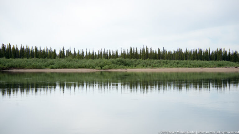 A sandy riverbank, shrubs, and conifers form a horizontal band above their reflection in calm water.
