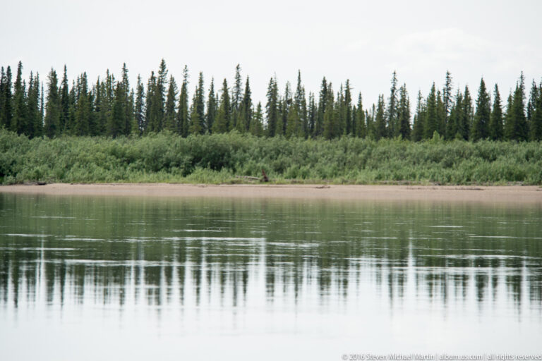 Dense shrubs and conifers line a sandy riverbank, their shapes wavering in the river’s reflection.