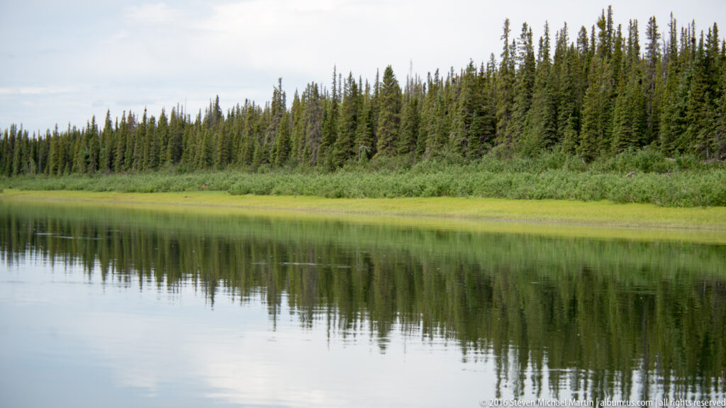 A dense conifer forest and low shrubs line a broad river, their dark forms reflected in the water.