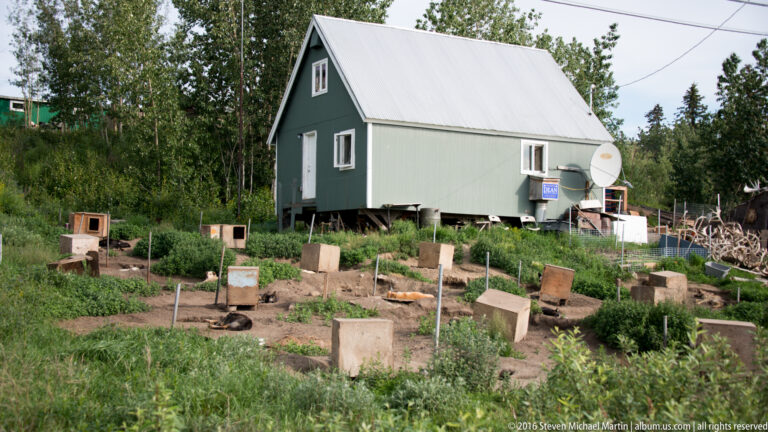 A green house on raised supports overlooks small fenced garden plots in a wooded settlement.
